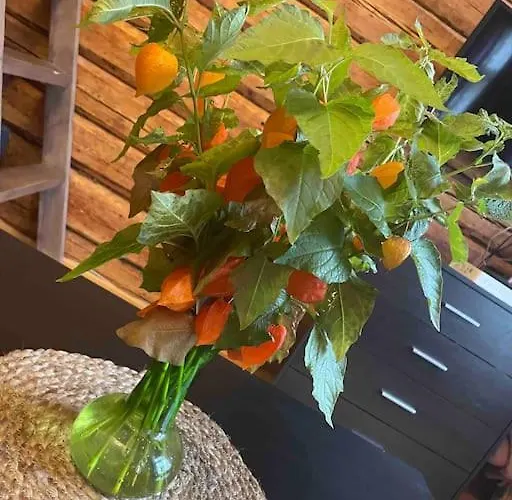 Apartament Very Lovely Old Down Place Close To Castle Rakvere